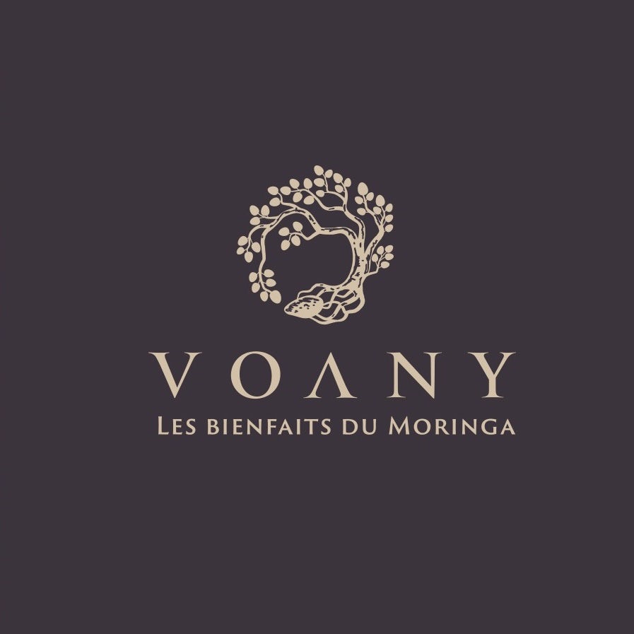 Classic  logo  design for Voany