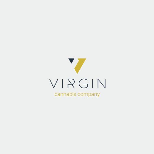 Geometric  logo  in the shape of a V