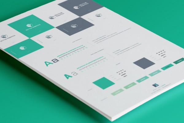 brand guide design