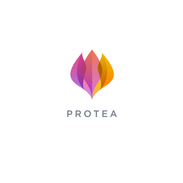 pink and orange gradient leaf  logo 