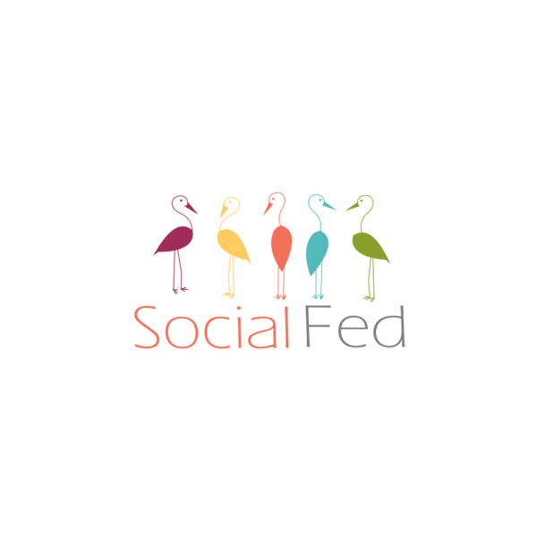 socialfed  logo 