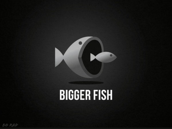 Bigger fish  logo  design