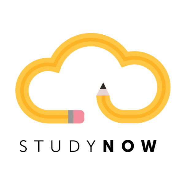 Studynow  logo  design