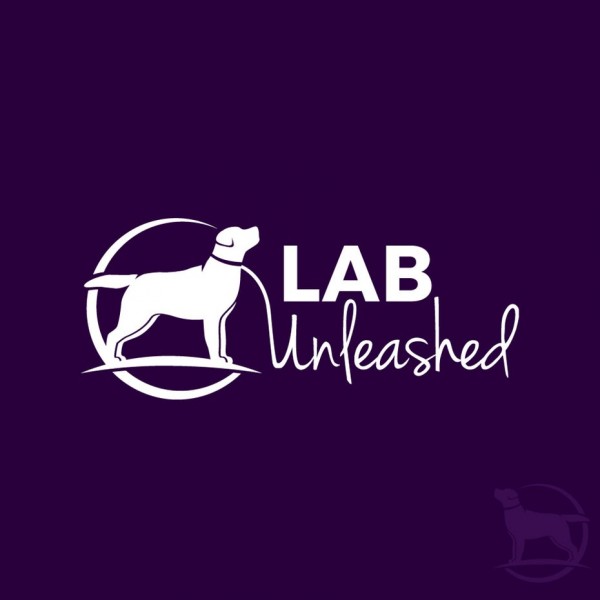 Lab Unleashed  logo  design