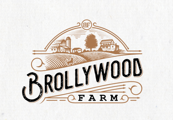 Sketched farm  logo  design