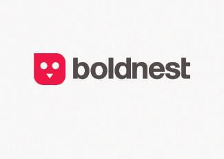 boldnest標志標志logo設(shè)計，品牌vi設(shè)計