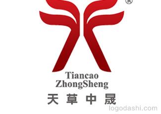 天草中晟科技標志logo設計，品牌vi設計