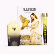 V10 AIO Dual Pack | Misty Hazy